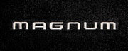 822031 Magnum on 100 CHRYSLER LOGO
