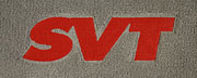829054 SVT FORD LOGO