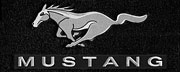 829060 Pony (Slvr) Word (Slvr) FORD LOGO
