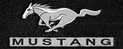 829061 Pony (Slvr) Mustang (Blk) FORD LOGO