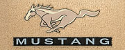 829062 Pony(Beige) Word(Slvr) FORD LOGO