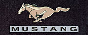 829063 Pony(Beige) Mustang(Blk) FORD LOGO